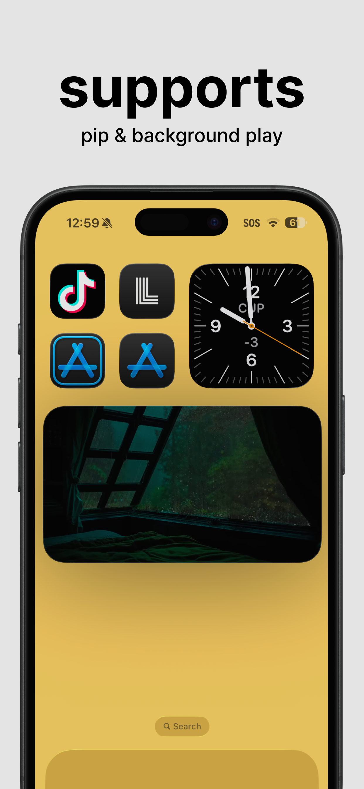 Supports picture-in-picture & background play